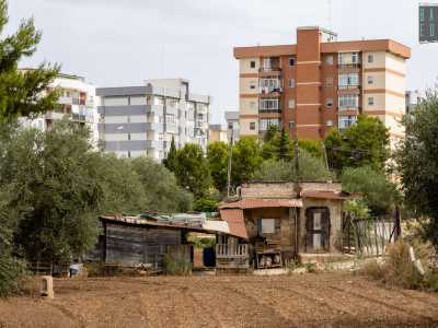 Un suggestivo scenario rurale a cui fanno da contrasto le alte e colorate palazzine residenziali di Japigia, che svettano sullo sfondo